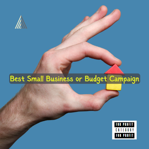 Awards Graphic - Small Budget Business Campaign - For Profit